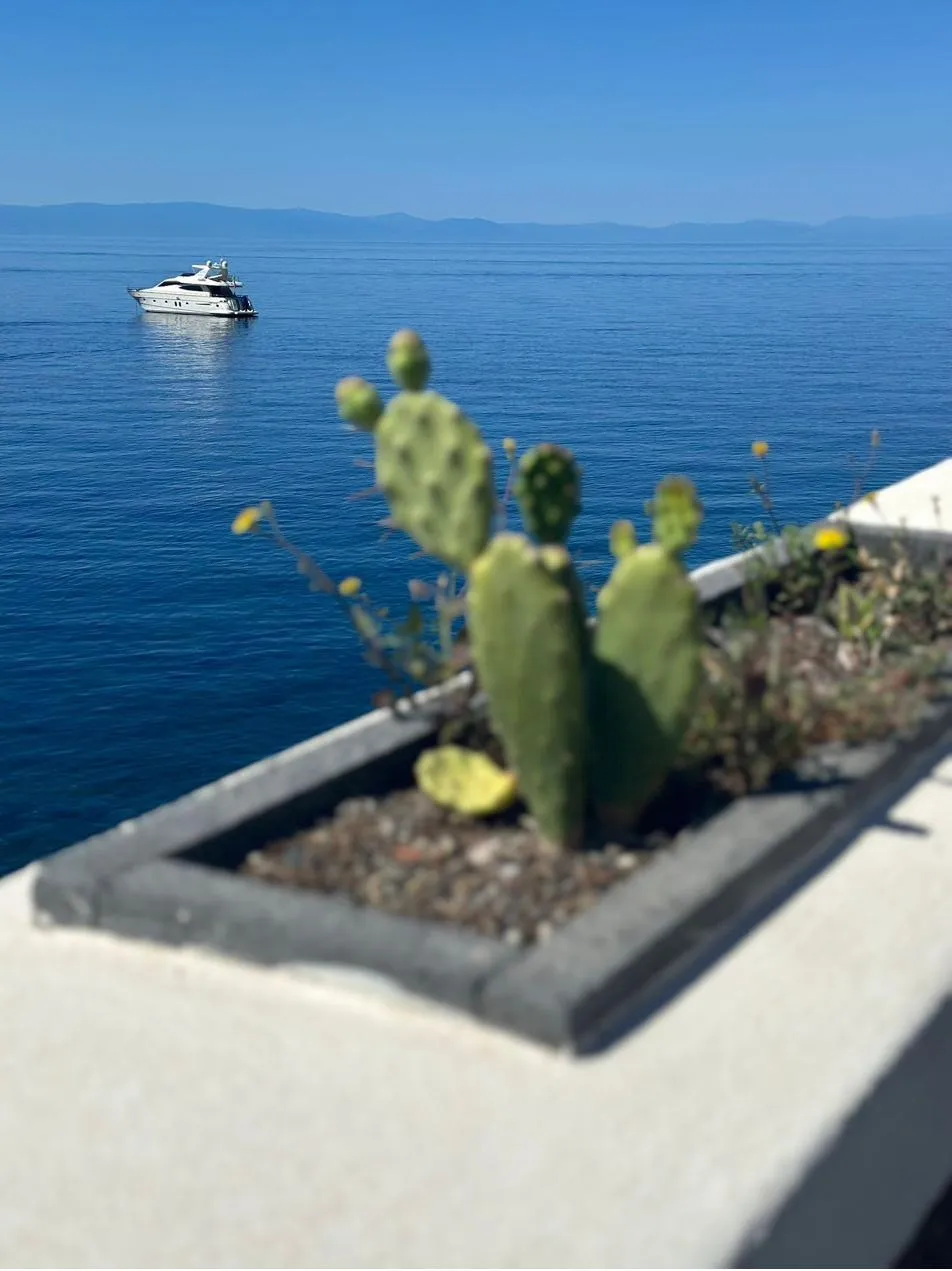 Bianca II at anchor, seen from the shore through prickly pears